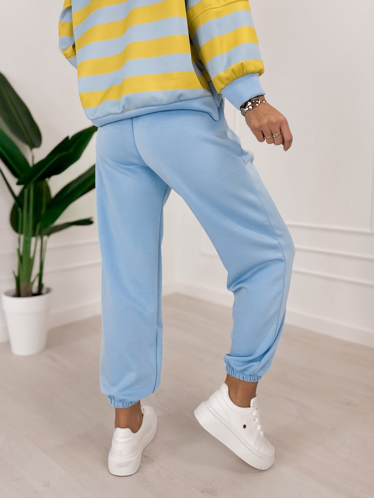 KOMPLET DRESOWY REGIS TWO