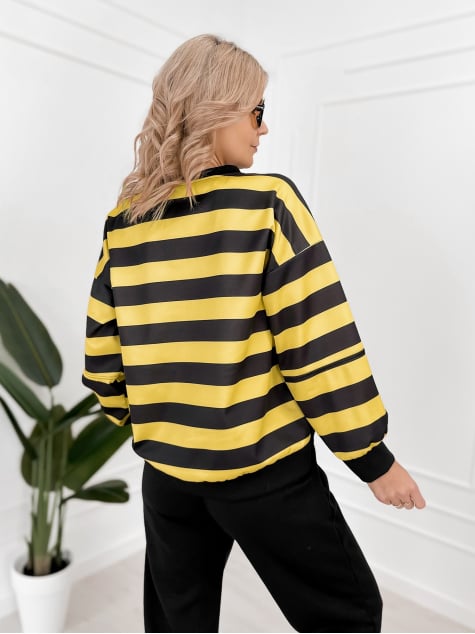 KOMPLET DRESOWY REGIS ONE