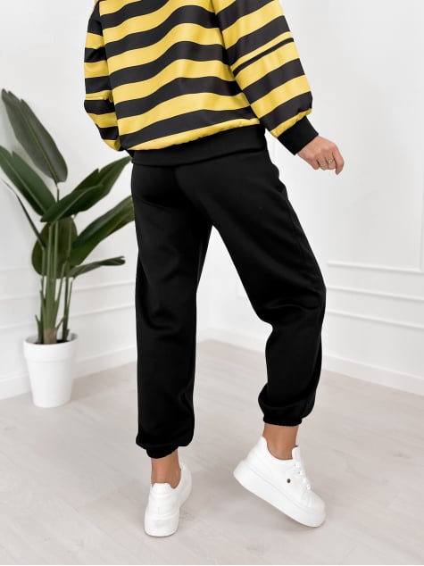 KOMPLET DRESOWY REGIS ONE