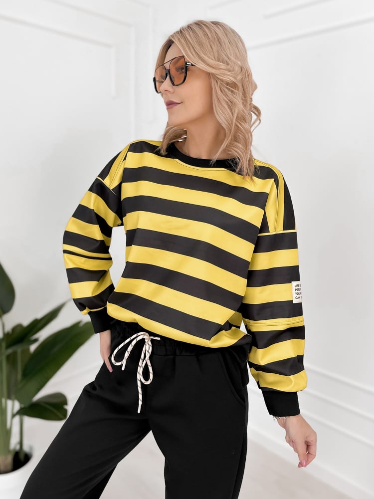 KOMPLET DRESOWY REGIS ONE