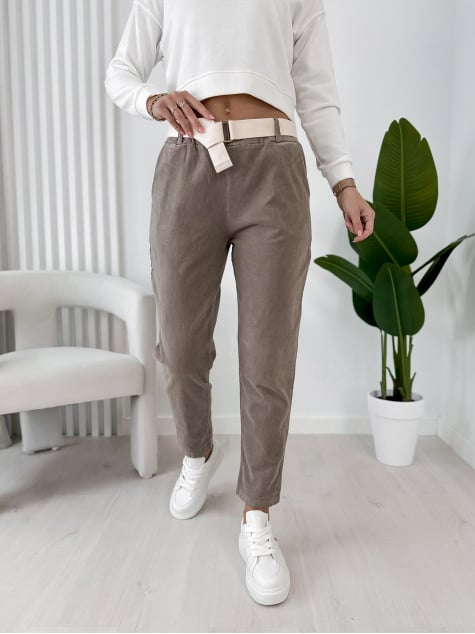 SPODNIE ADDISON CIEMNOBEŻOWE