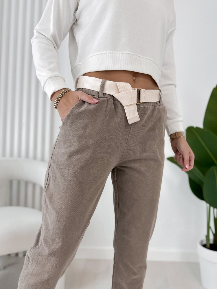 SPODNIE ADDISON CIEMNOBEŻOWE