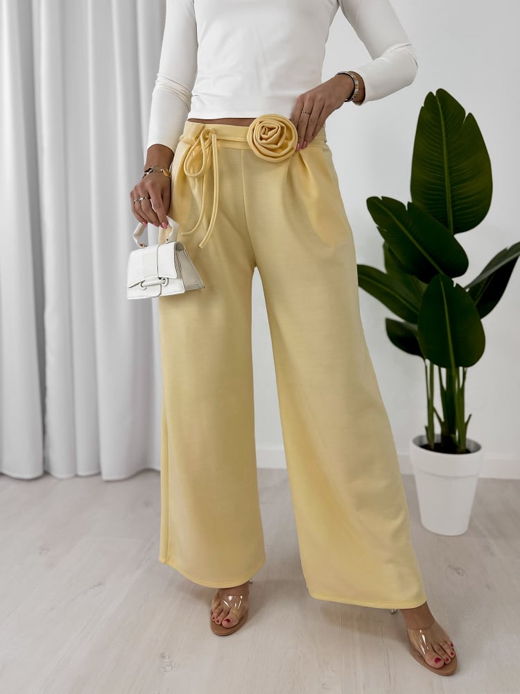 SPODNIE BOYLE ŻÓŁTE